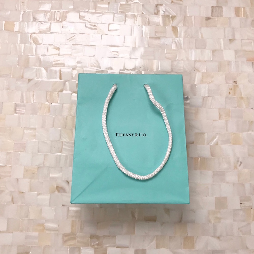 Small Tiffany & Co Gift Bag